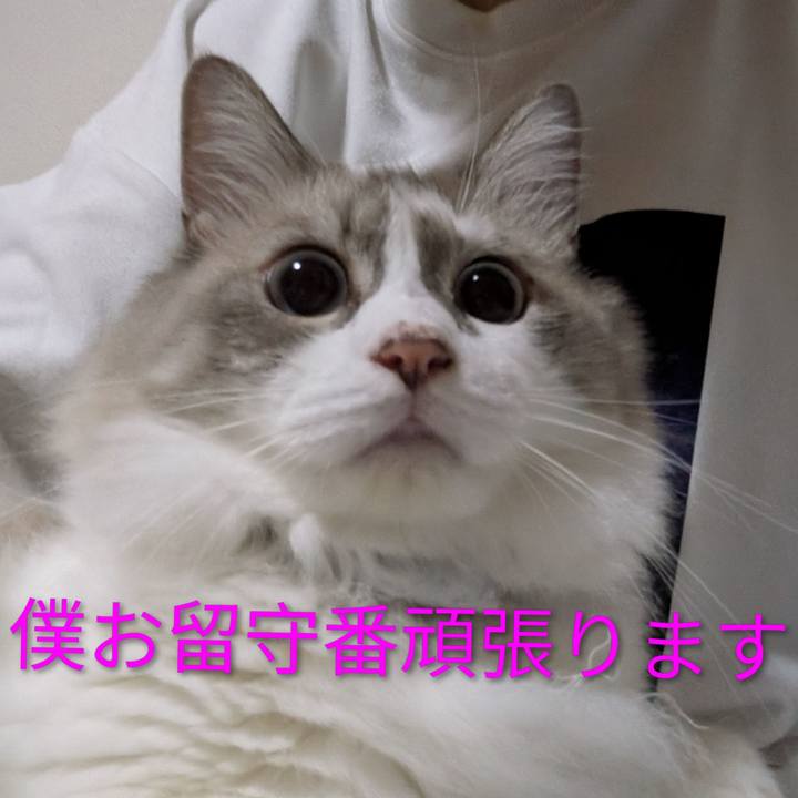 487575bf 2b28 4e4d 820f 5f068e63d948 1789589227744