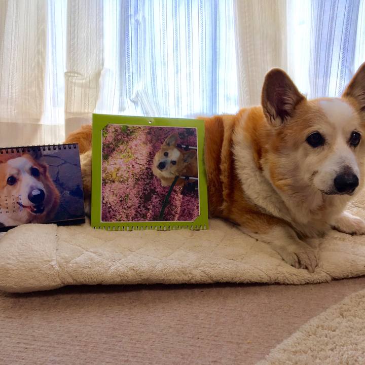 4875a18d c5bc 46a7 a7da e1b2ac57665b 1554091985779