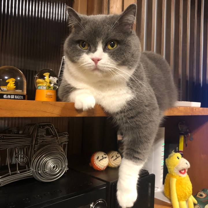 4875b4b1 9269 4e22 9328 2059ab24e81a 1613212217345