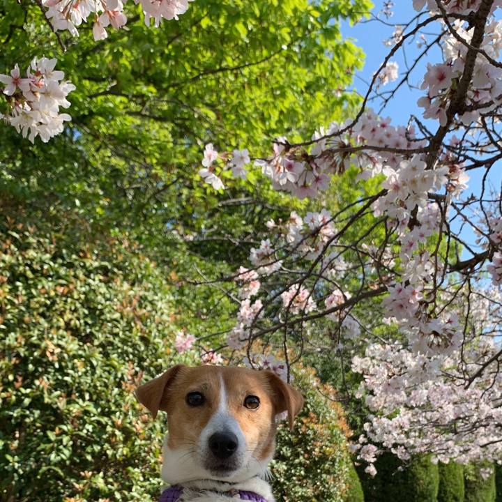 4875ccd0 4b73 4ffe a93b d7373627a0b2 1586048460161