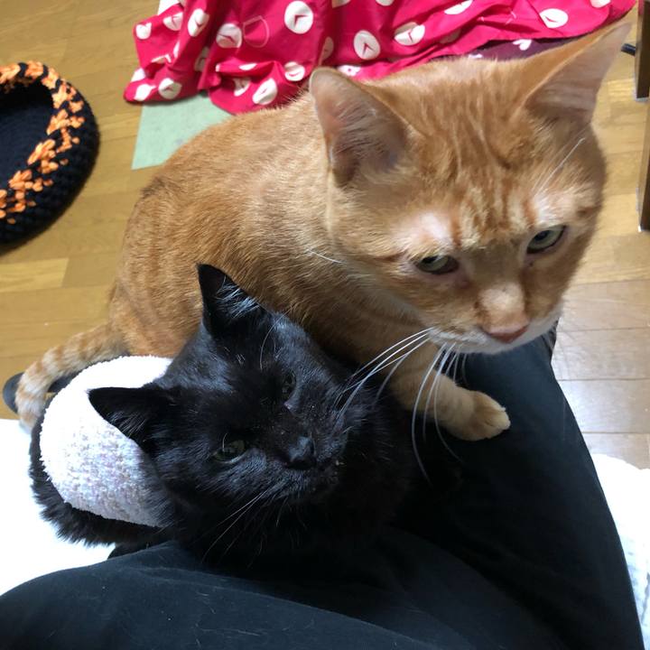 48760bbf d5df 4074 877a 05adb93b008a 1639301684166