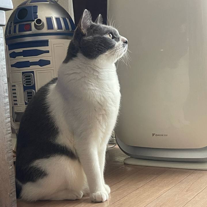 48763f18 d3aa 4a65 b294 c1b16d6070cc 1723182095366