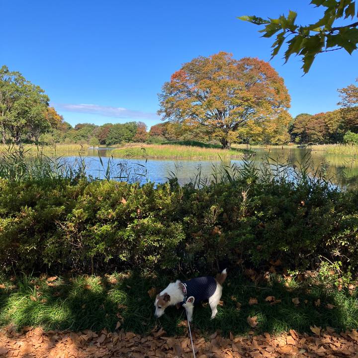 4876b37a 847a 41ee 815a 60f505791eef 1698103427235