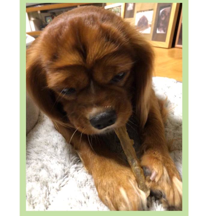 4876da1d 7444 4659 94f3 98d9d48ff30b 1572388098474