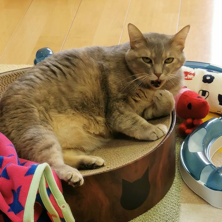 4876dc1e 54b3 489a b33f 0161a0fcb011 1644923397028