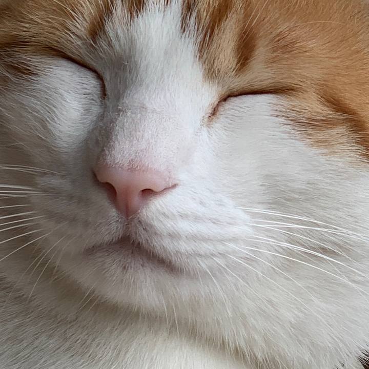 4876e7e3 dbd2 4412 acce 49642c6dd4f8 1580186041589