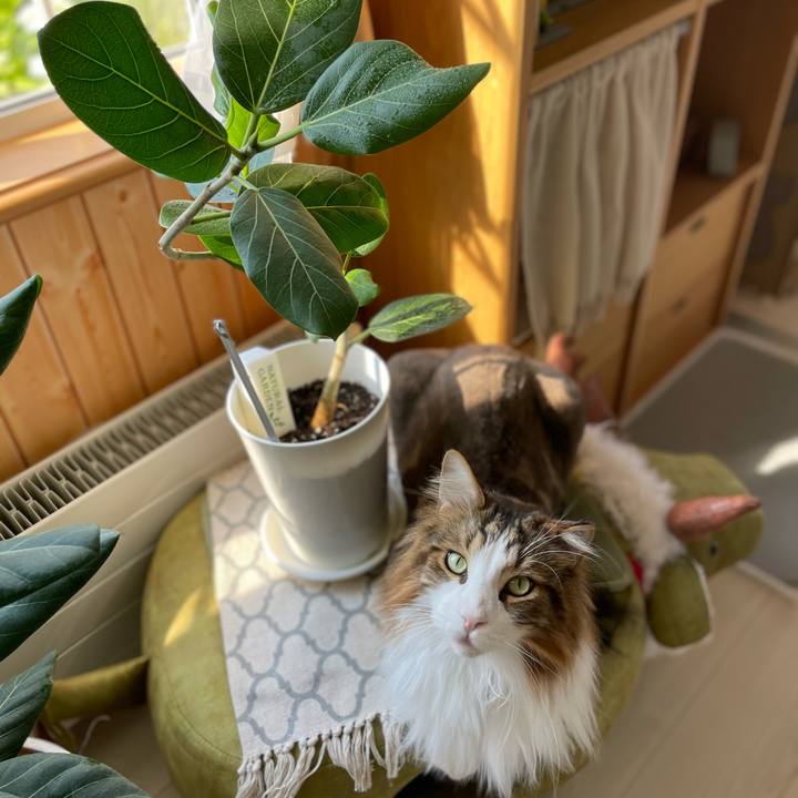 48771020 0664 4f63 ab13 61cde0804c47 1719613039464