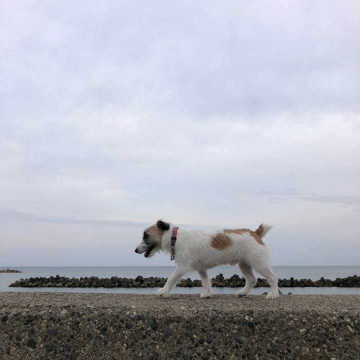 487715f5 4a09 4e51 836d 4b7a00357d17 1601680919685