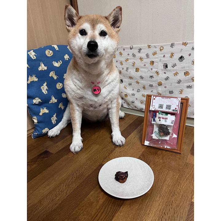 48773020 64ee 4828 b785 53bd76701049 1720436495070