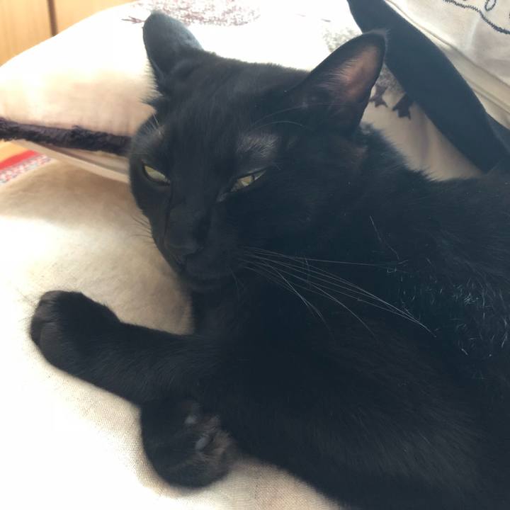 4877488e 7f21 4ef2 bc81 023035bcbd38 1542067824265