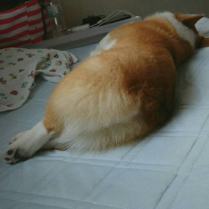 487762cd e542 4cca ac3c e9171e970a1e 1527566732539