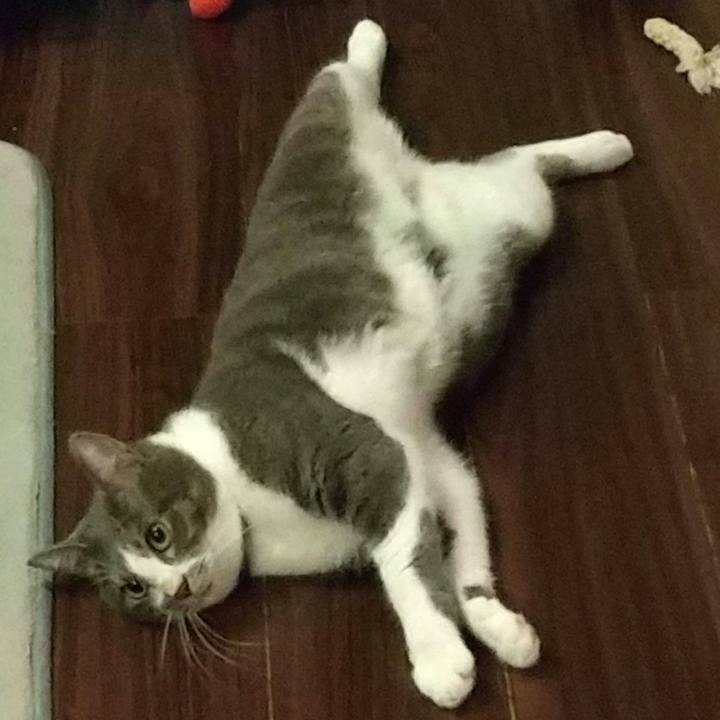 48776b44 b132 4932 b5b4 468cb442a1c1 1631711212840