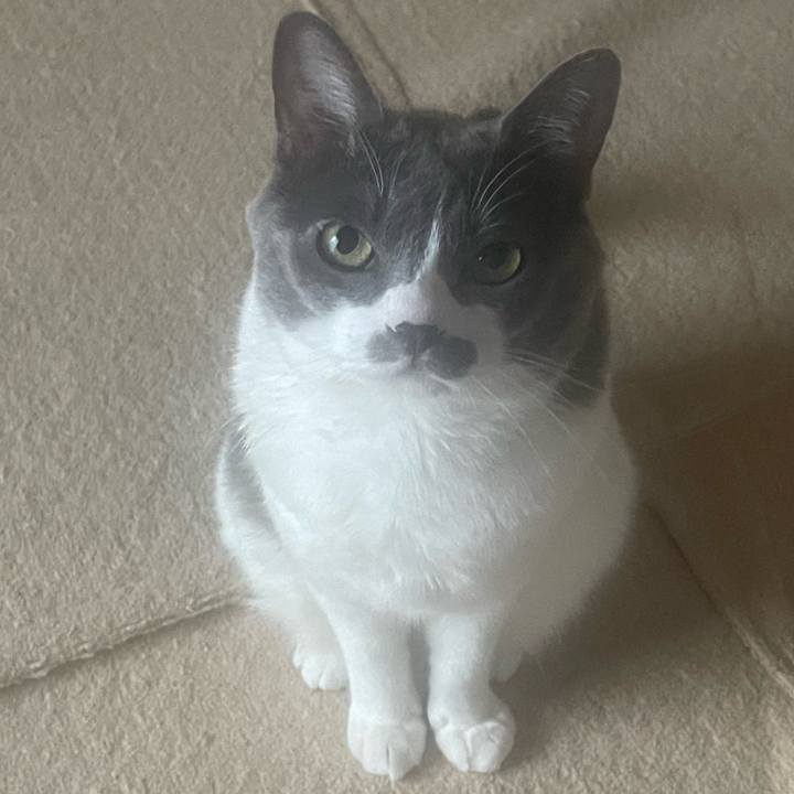 4877768f 6863 4a3f be1d 9430aaeeb74e 1697328031986