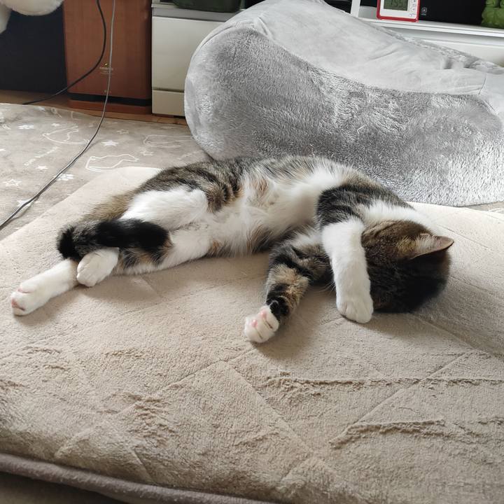 48777786 132b 45ad 8ccc e3323b4ae80b 1680843373211