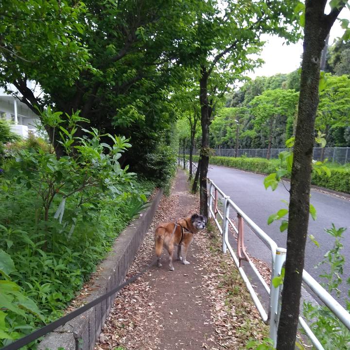 4877b85a d614 462d 93a2 8c36e7eea185 1557788717957