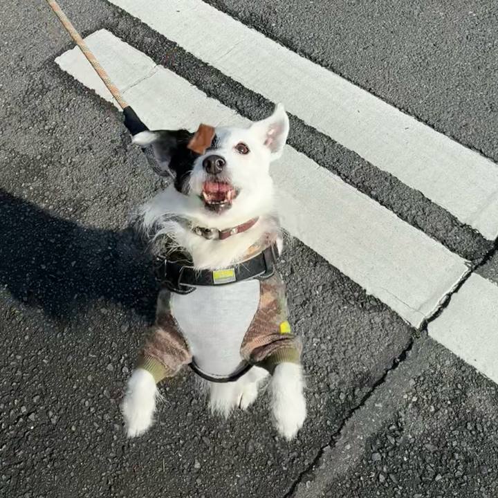 4877cdaa 4e4c 4066 bcb9 6058fff9750e 1774657867653