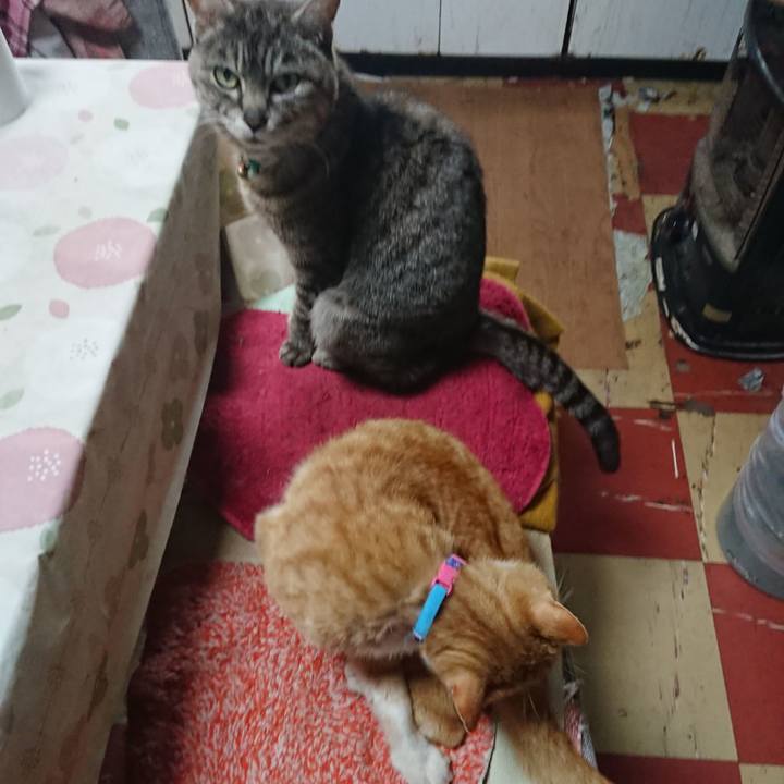 4877dd46 bfa9 4c6e bd90 9bfc32577158 1557783812013