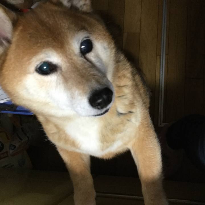 4877e51d 1845 4085 8366 70b13182f5ab 1620911061143