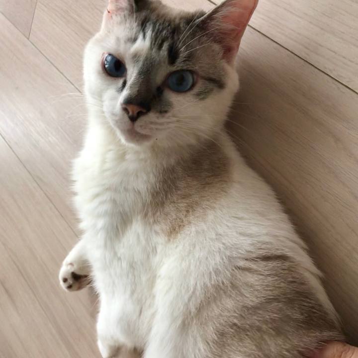 4877ec82 aa1f 4a7b 916f b2bc1bbe7814 1530419281870