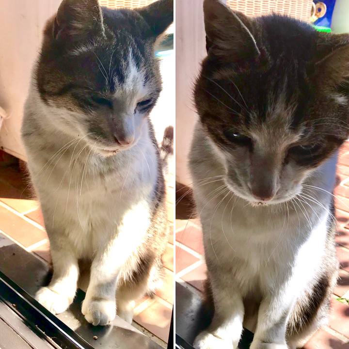 48782bf3 095f 4805 aefd eeaa5ef1b5c3 1553478523362