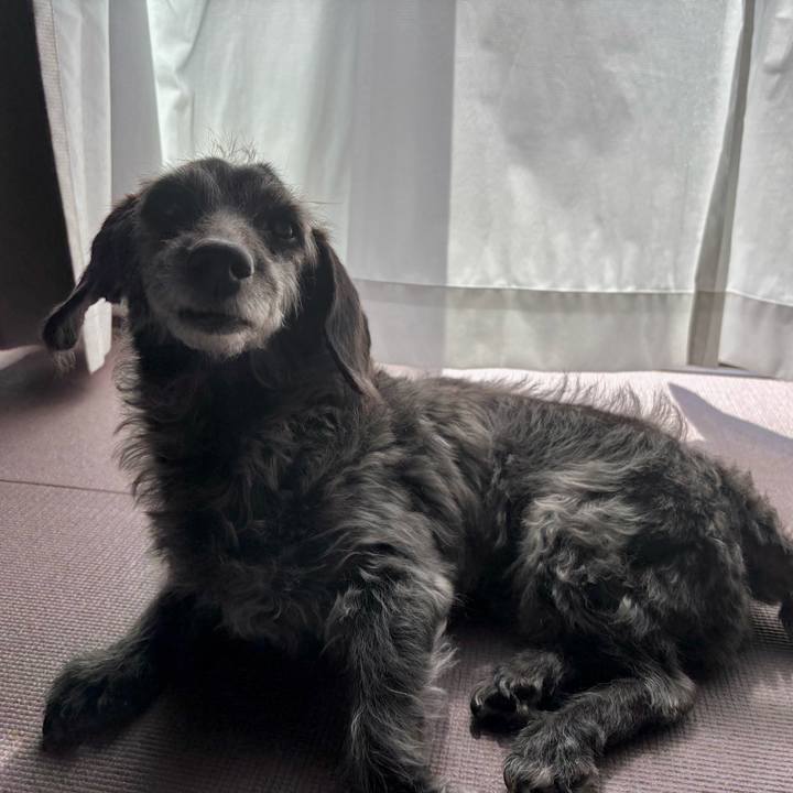 48786a6d 201f 4e19 a1ca 421f0485d6e6 1759188579832