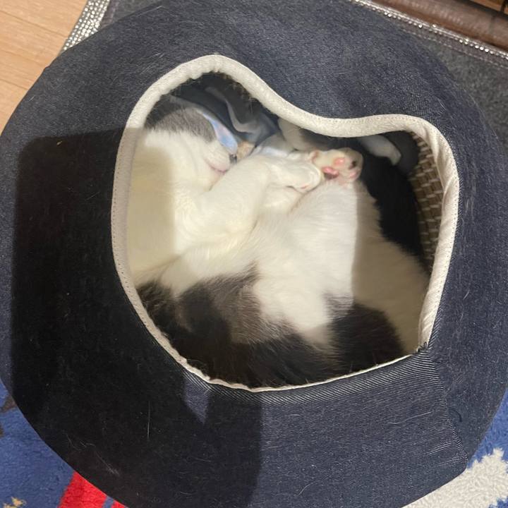 487906d5 f361 46d0 81c8 ad1ea4d0753e 1682090124543