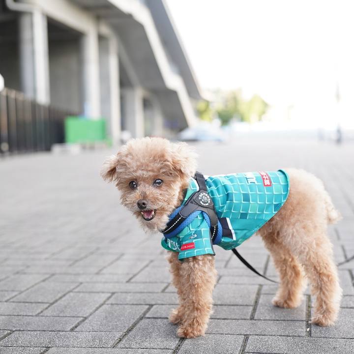 487909fa e745 43eb 98c9 004c974cc014 1665299132557