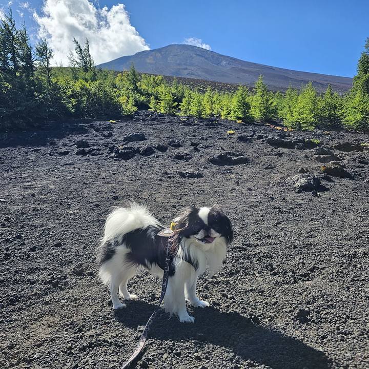 48791754 f1e1 490b a43a 6c193808356b 1695121019476