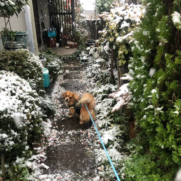 487923fb 94d5 4591 914a ce231ac8d011 1546040218708