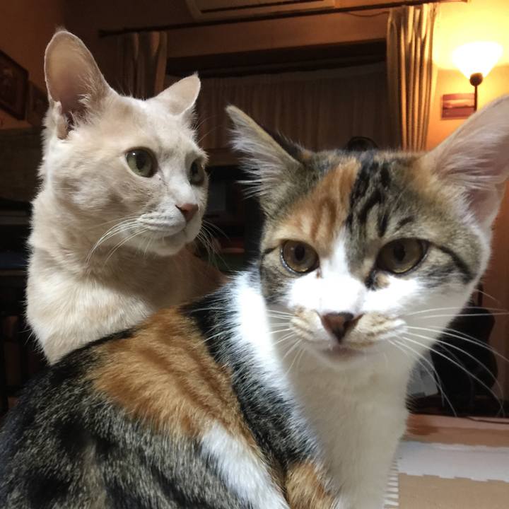 487937f4 53ad 4d68 adcb 26f766cd211c 1641137206694