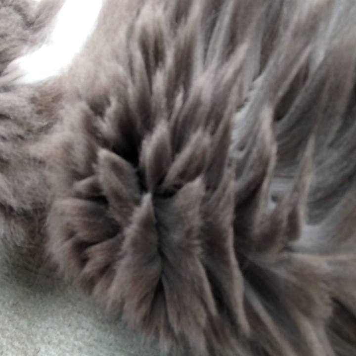 48796fe2 98fb 4fab bc1c 4407be255a41 1712443587709