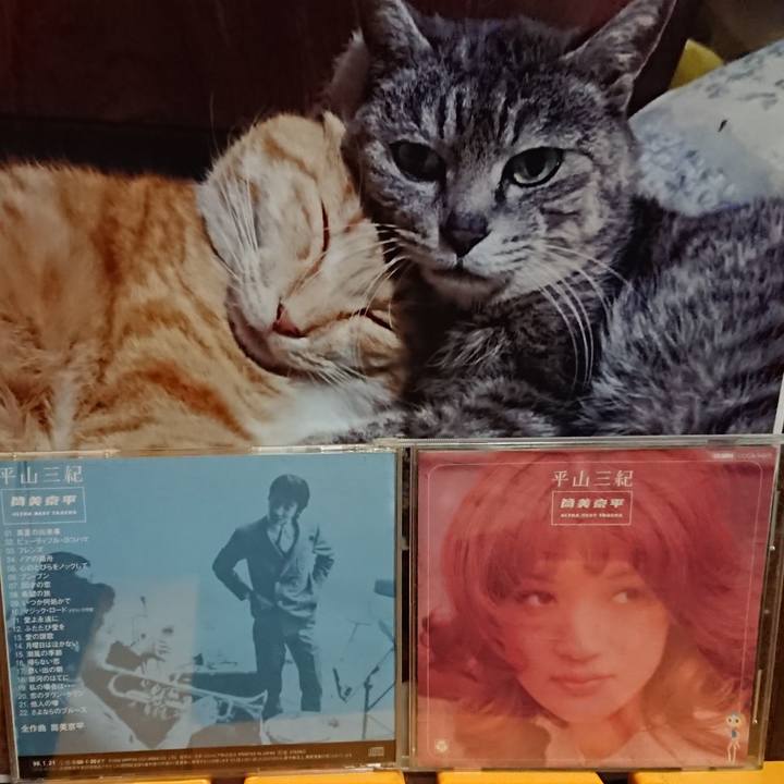 48798712 578d 49f3 ab12 7020d318d37a 1602494287972