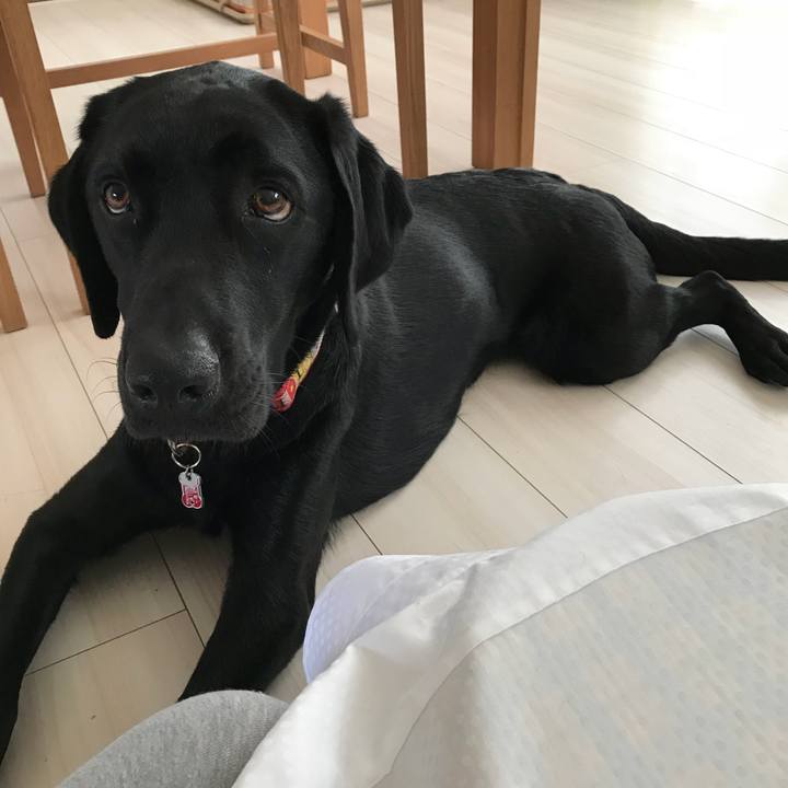 4879898c 8d39 4299 8aa0 265f43e31d63 1526096433688