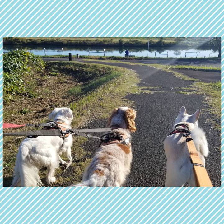 4879fe7b 993c 459b bb81 48bfc6212924 1697940807127