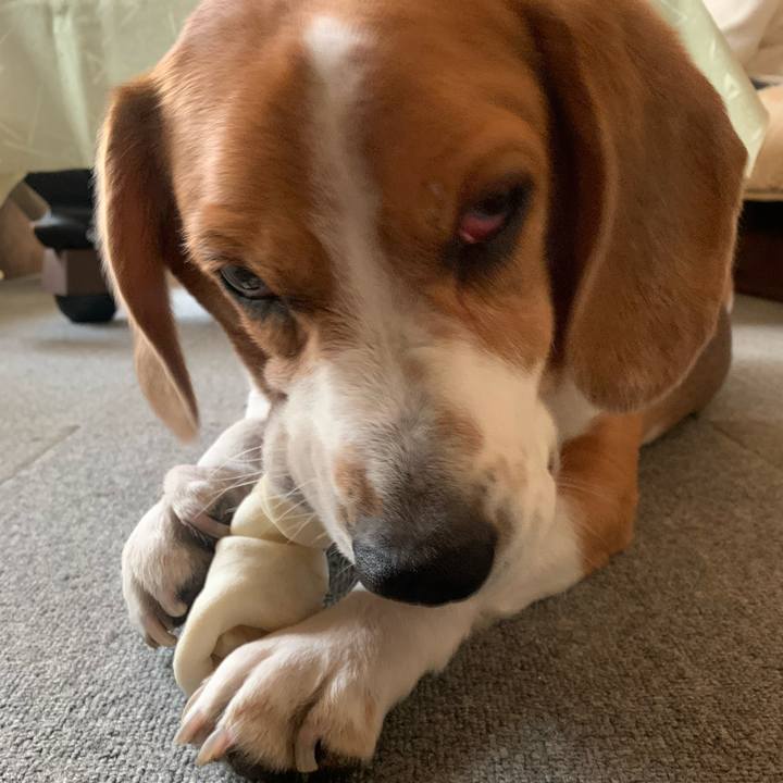 487a06a3 6bef 441c be88 49f70f91e610 1644645026542