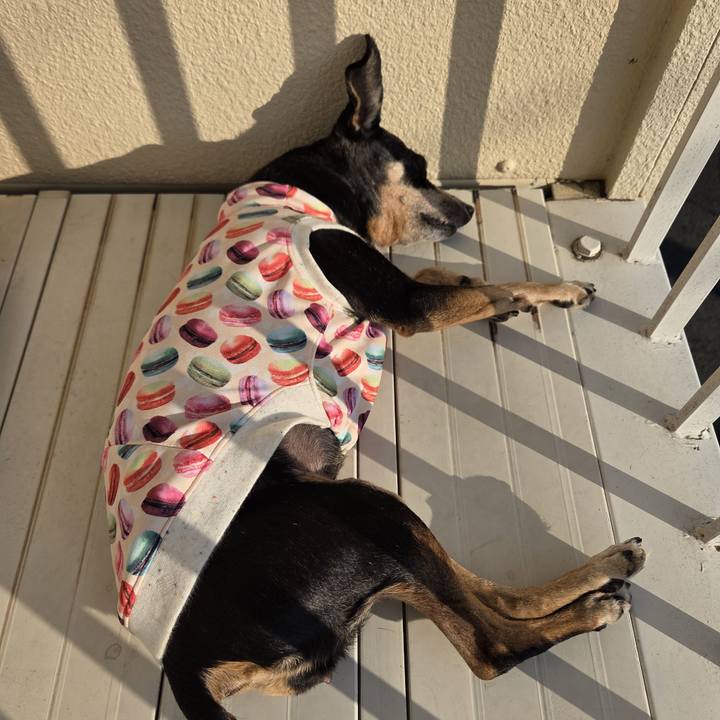 487a572e a342 4d90 bd8d 195730159a67 1758967276332