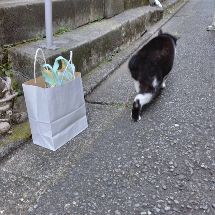 487a98e3 aab3 44c3 b8f4 8bbcd0f40ca4 1703548337977