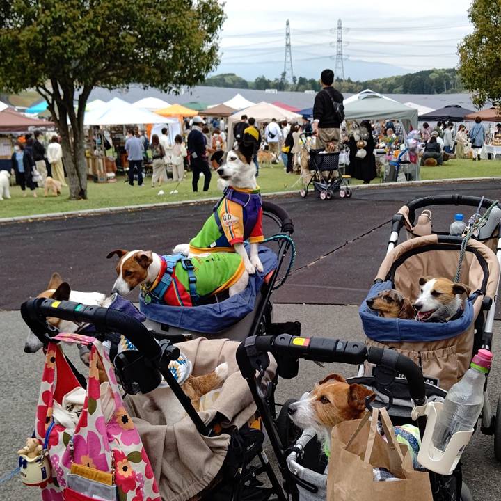 487aa4a6 aff7 44c1 8c45 7ea32dc15f73 1650786420034