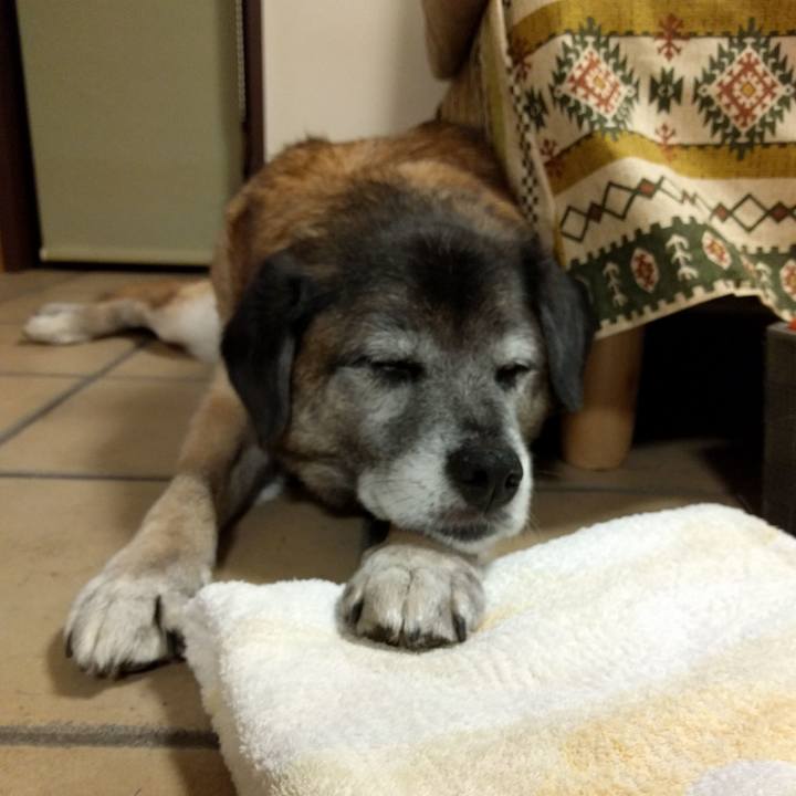 487aab29 931b 45ae ba37 cfa7027e77de 1522156985888