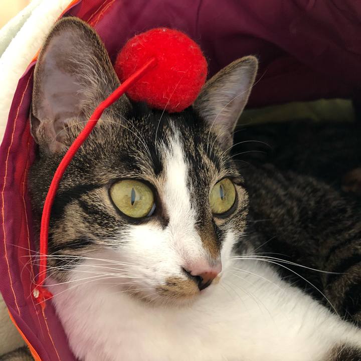 487b07e4 276c 40b7 84e3 fad3ae5966b1 1522341478413