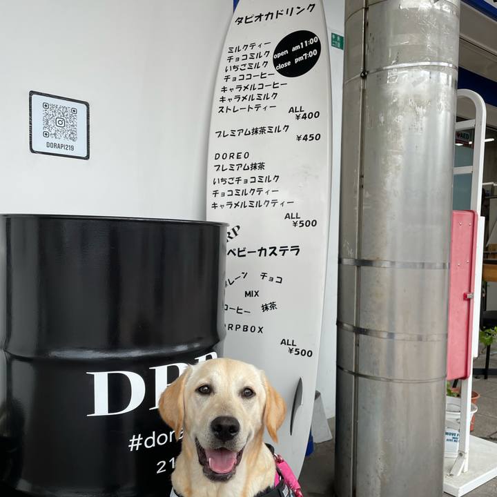 487b102b d3e5 4f95 b740 41e27481ac3e 1622091287879