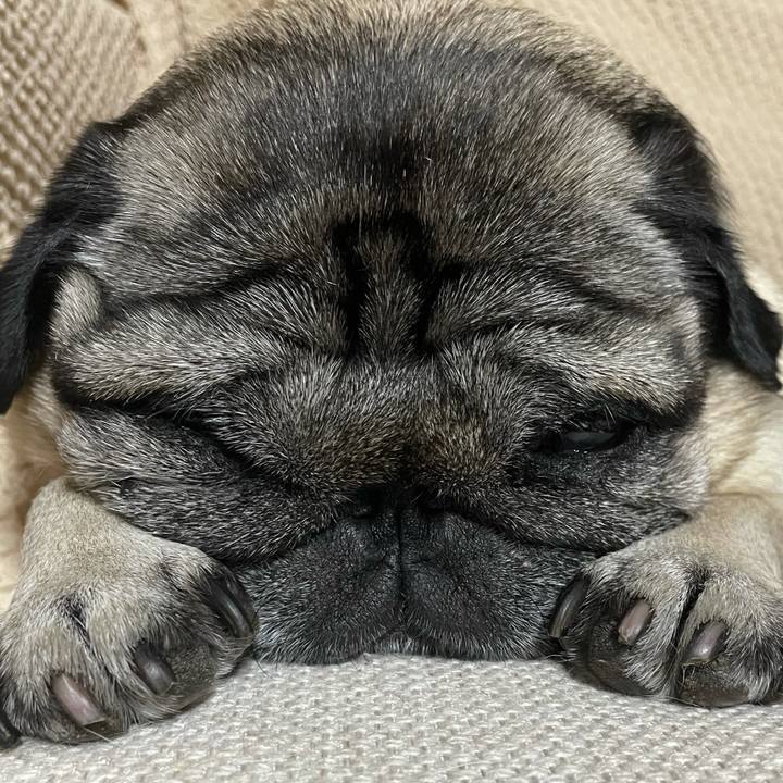 487b1db1 4785 4ce9 af10 f0e2091bf736 1624537606197