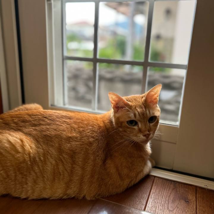 487b4056 83b7 4330 9790 b374bad7c3b1 1687812839776