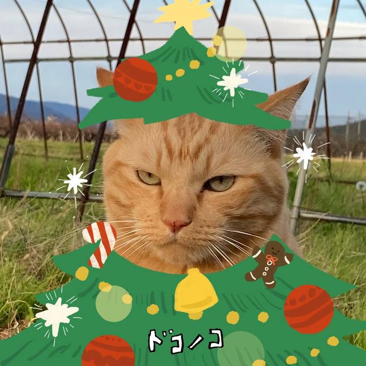 487b4516 9685 486c b9b9 39f5b3e6590d 1762757559822