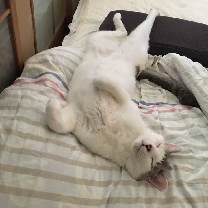 487b51a8 e1bf 4c1b b9f2 f065d35c47bd 1570424025298