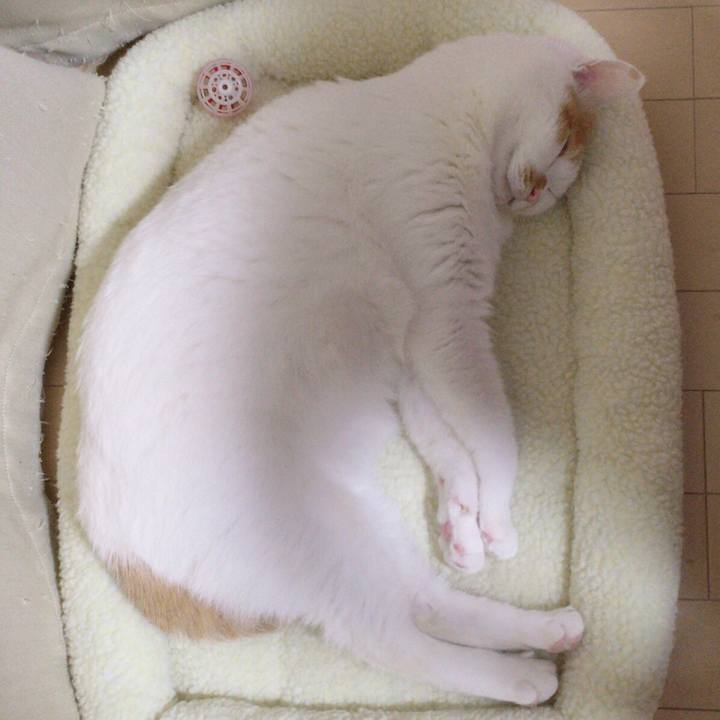 487b846e 71dd 44a6 85ed 14a996bba7f1 1508844427165