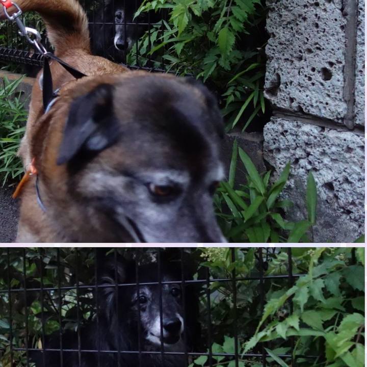 487ba3fc d82a 486f 9609 0defdee945a4 1525603548465