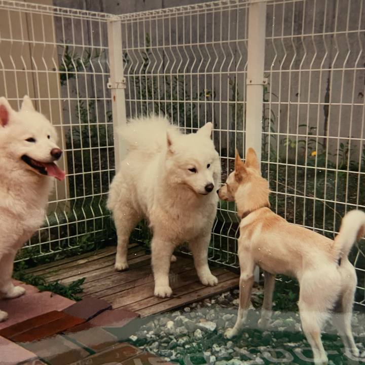 487bac2d c6de 4458 b250 efc0ace6797b 1607347619357