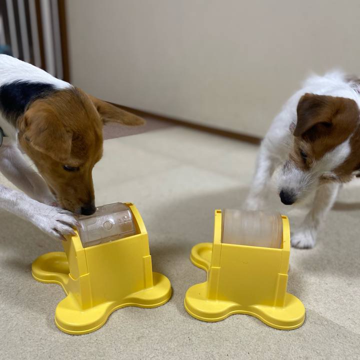 487c06c1 01df 48a6 b917 5589f0ccb1c6 1769260610014