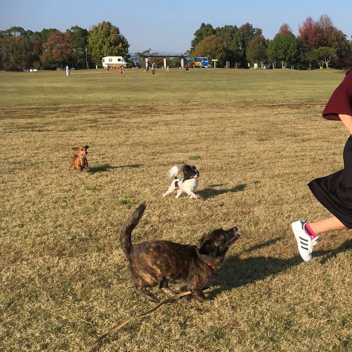 487c30f2 fc85 43e3 9353 b7eeff8190f7 1510379705918